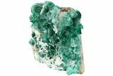 3.4" Fluorescent Green Fluorite Crystal Cluster - Rogerley Mine - #184629-2